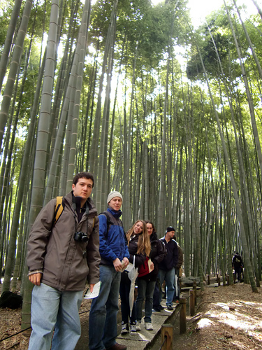 kama1web At the Kamakura bamboo forest