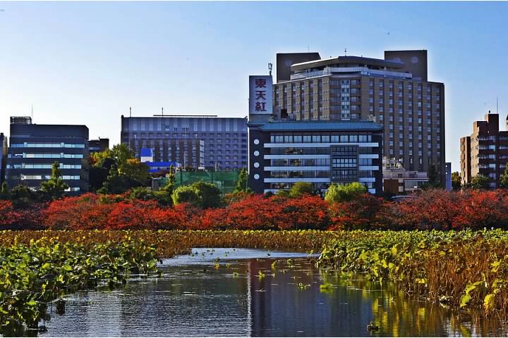 View from Ueno Park during autumn