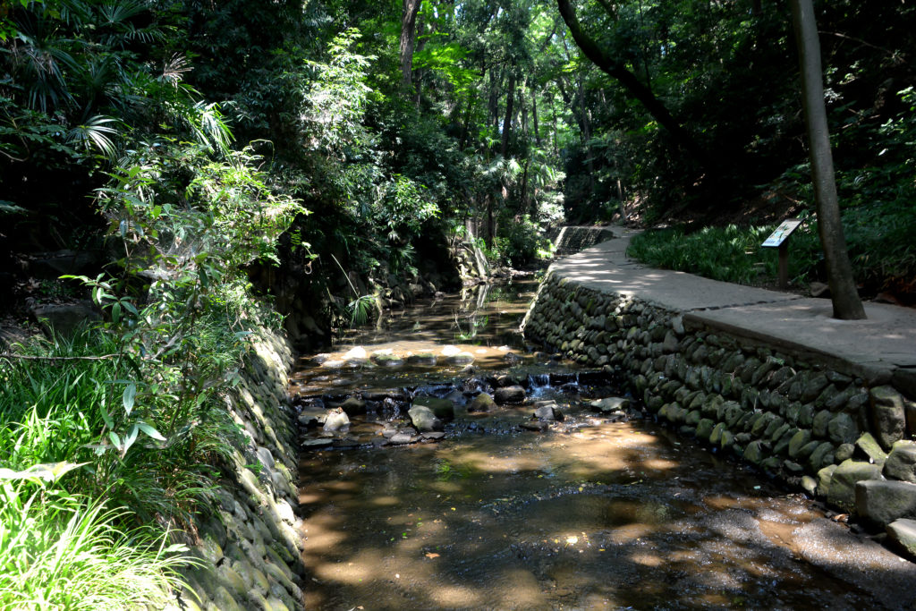 Todoroki Valley Park trail.