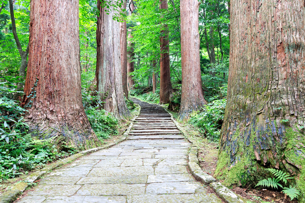 Mount Haguro, Yamagata Prefecture. One of the three sacred mountains of Dewa.