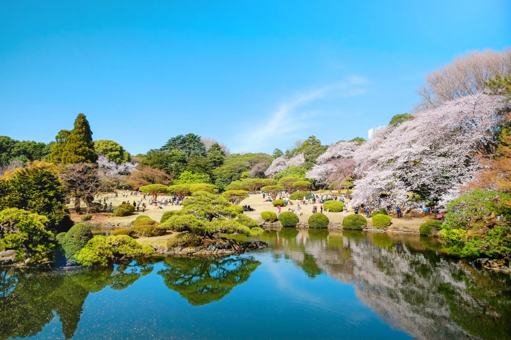 Hanami at Shinjuku Gyoen